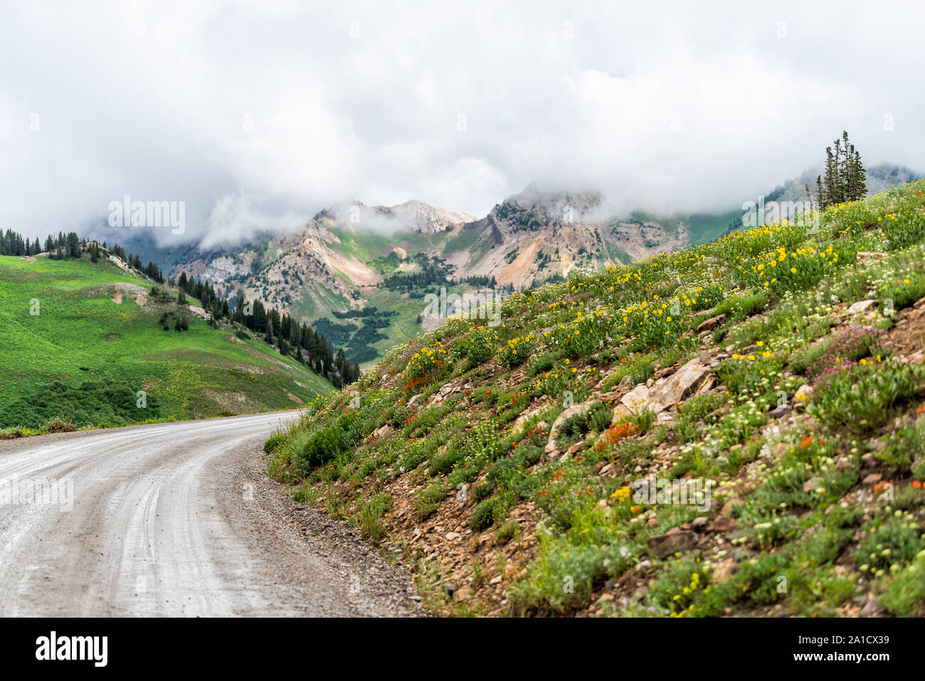 Albion, bassin d'été sur la route de l'Utah pour les navettes et les voitures en 2019 dans les montagnes Wasatch avec nuages sur jour de tempête et de fleurs Banque D'Images