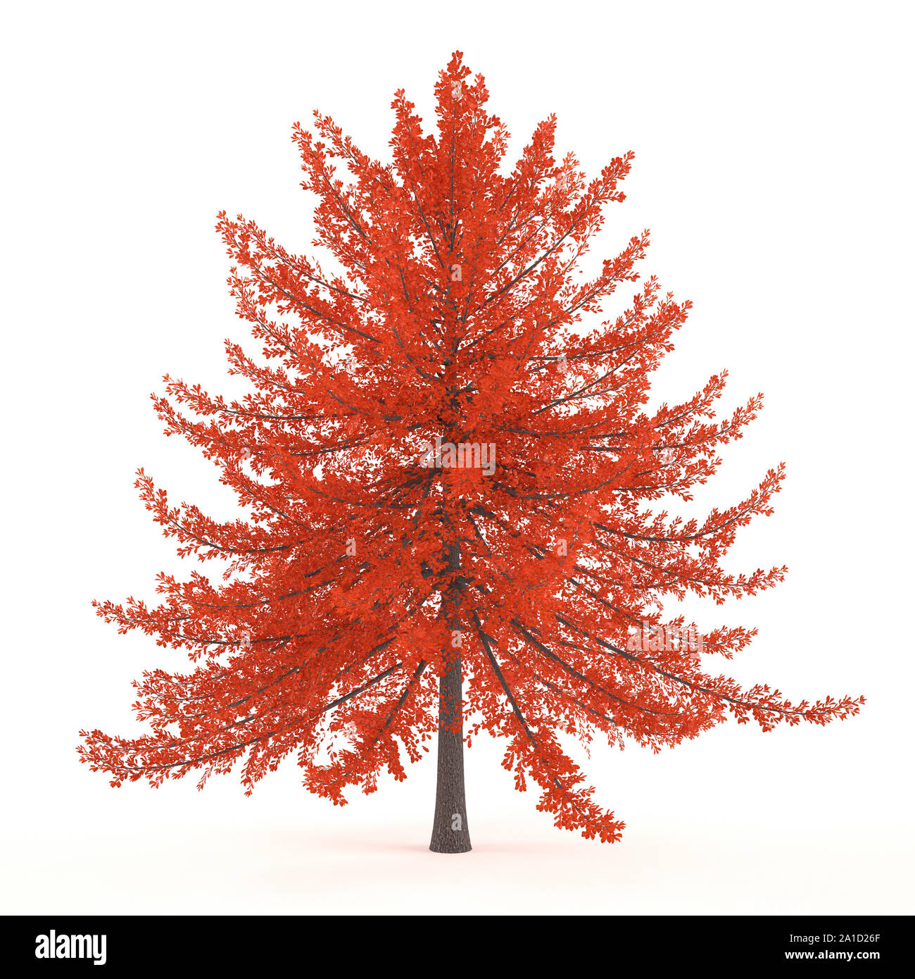 Collection d'arbres sur fond blanc Banque D'Images