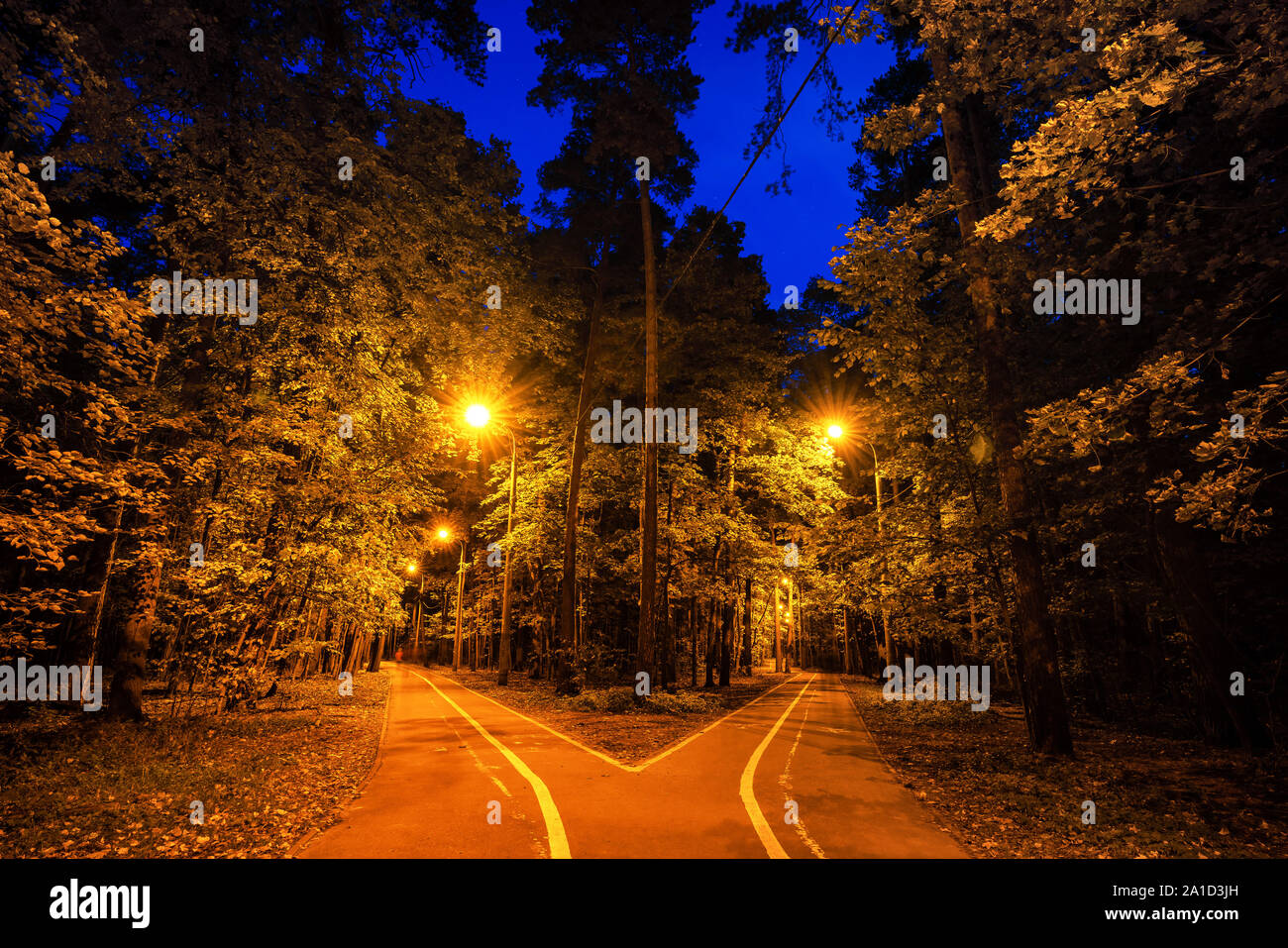 Pathway in autumn park at Dusk Banque D'Images