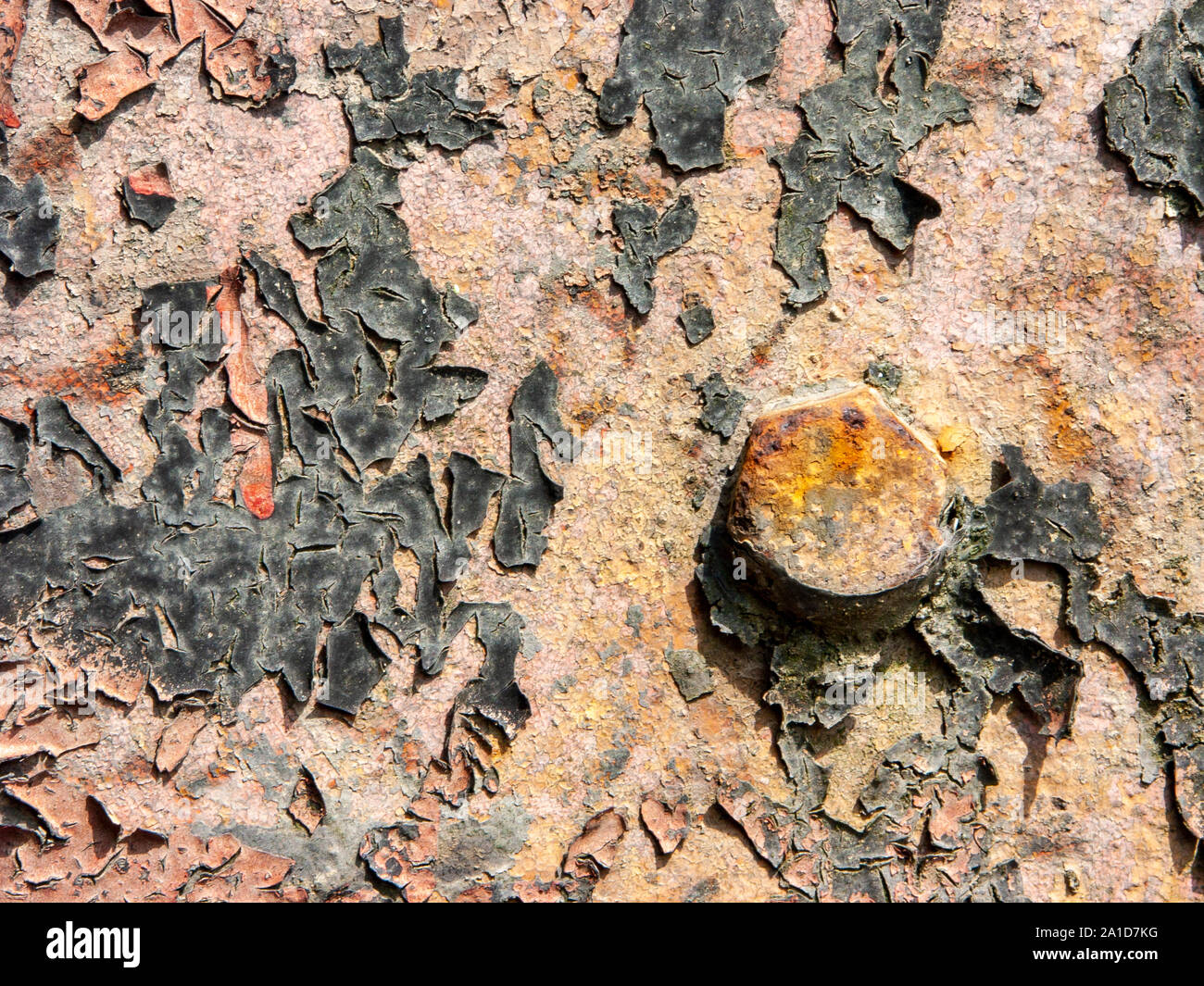 Détail Type d'antique panneau métallique d'une maison de campagne italienne, en fer avec de la rouille, peinture craquelée et vis rouillées détail. Banque D'Images