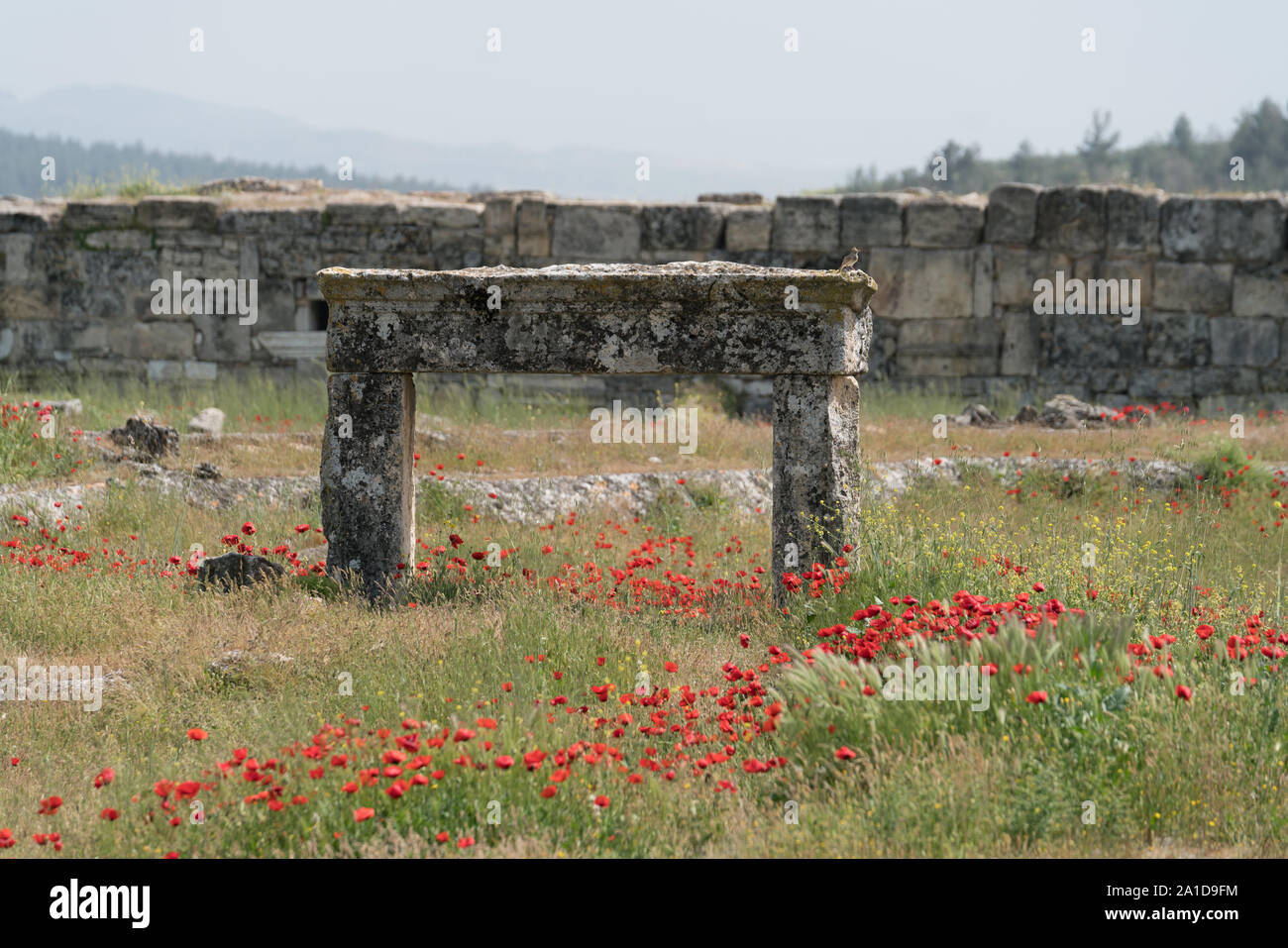 Vestiges des anciens remparts de la ville et du cadre de la porte en pierre Banque D'Images