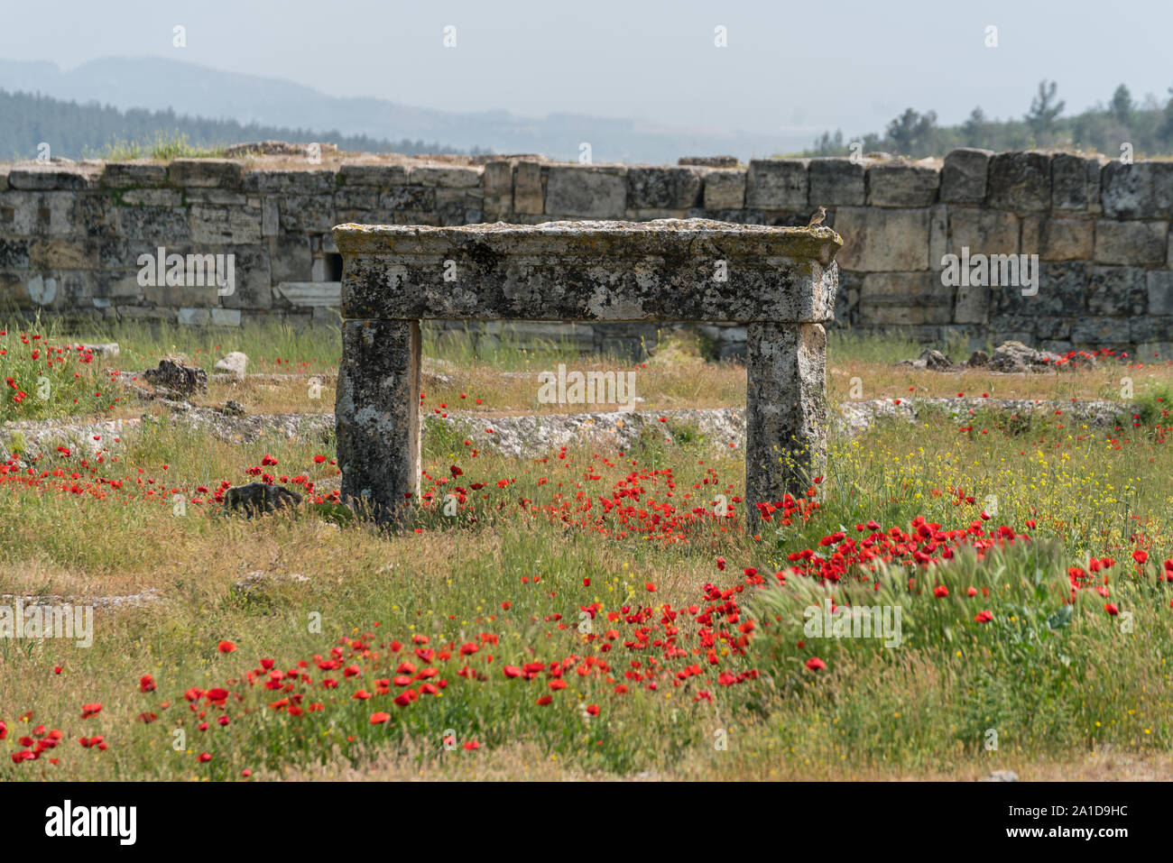 Vestiges des anciens remparts de la ville et du cadre de la porte en pierre Banque D'Images