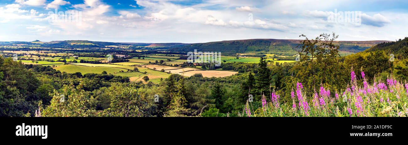 Vue de Claybank, North Yorkshire Moors, l'Angleterre, shérif devient Banque D'Images