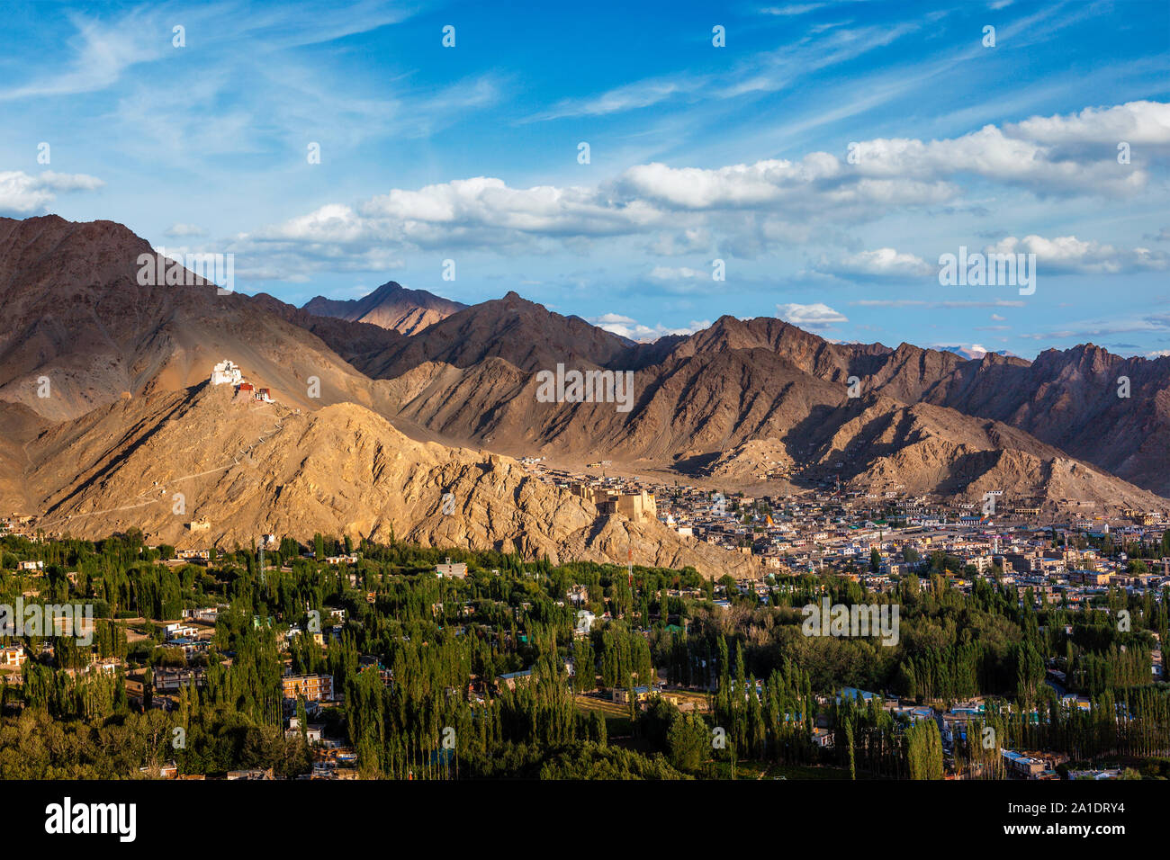 Namgyal Tsemo gompa et fort. Le Ladakh, Inde Banque D'Images