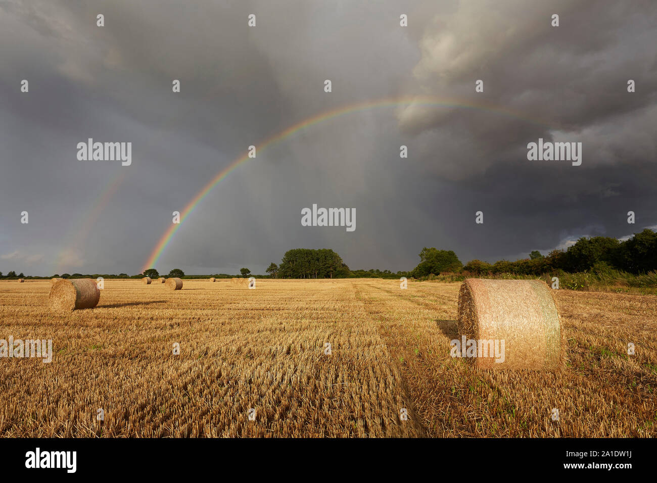 Dans un arc-en-ciel champ récolté des chaumes et des bottes de paille, East Yorkshire, UK. Banque D'Images