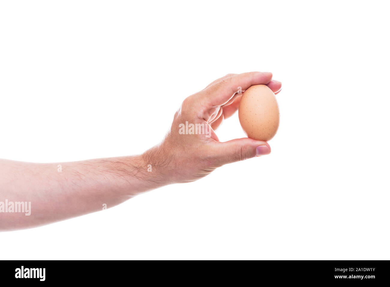 La main des hommes est titulaire d'un oeuf, isolated in front of white background Banque D'Images