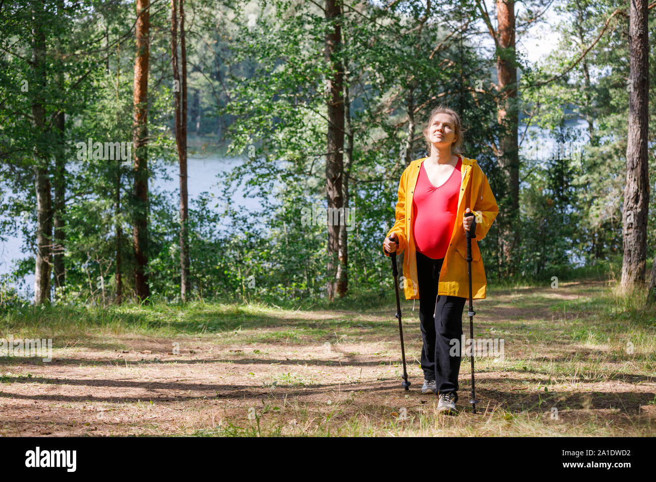 Young pregnant woman wearing raincoat marche à travers la forêt de l'été ensoleillé en utilisant des bâtons de marche appréciant la nature - Grossesse en santé concept de vie Banque D'Images