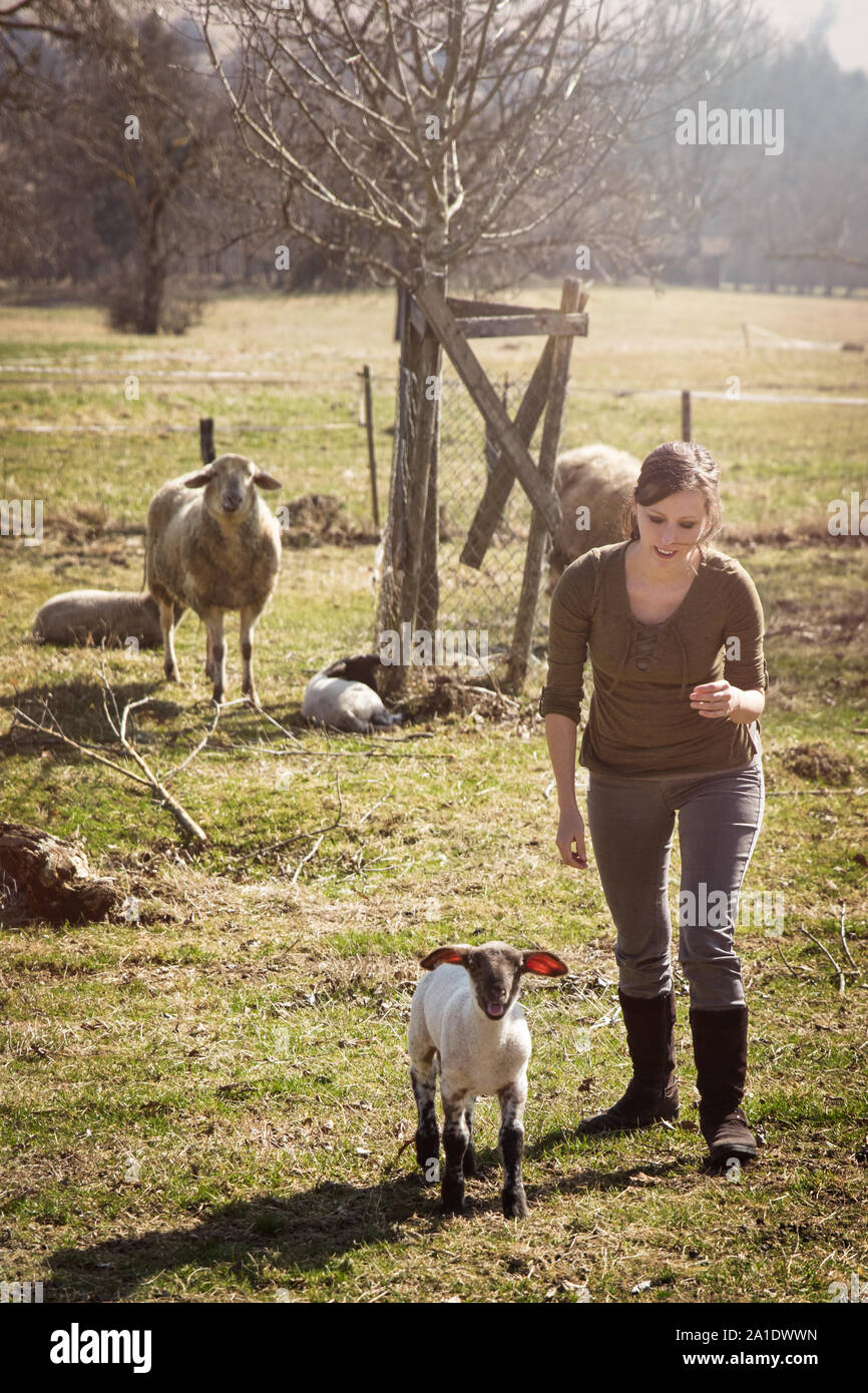 Femme et d'un agneau, troupeau de moutons dans l'arrière-plan, concept ferme Banque D'Images