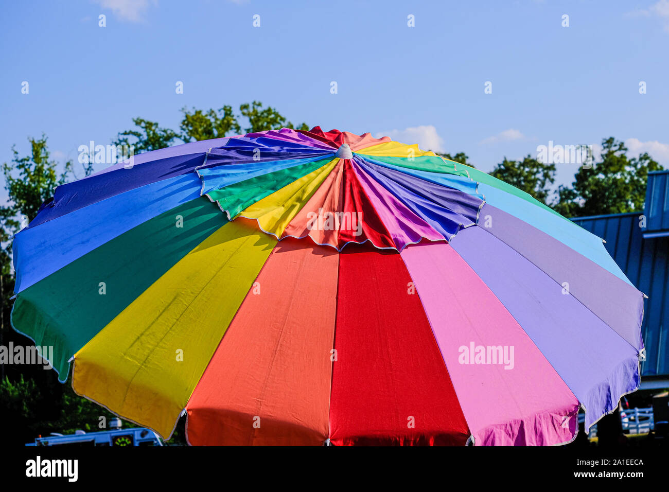 Multicolore parapluie dans Park Banque D'Images