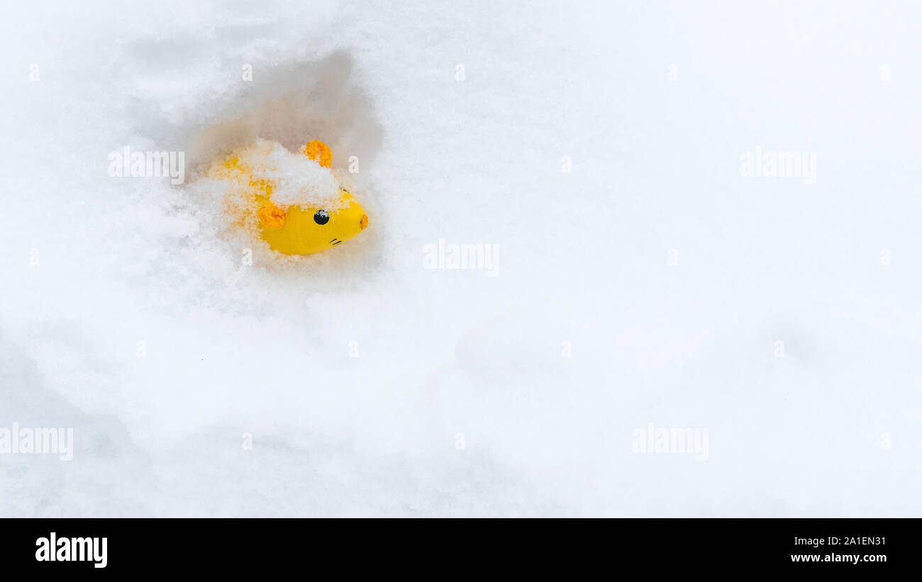 Objet sur la neige. Rat jaune vif dans la neige blanche. Copier l'espace. Concept de nouvelle année 2020. L'année chinoise du rat. Symbole de l'année 2020. Ressources graphiques. Concept, idée, l'arrière-plan. Animal de l'année Banque D'Images