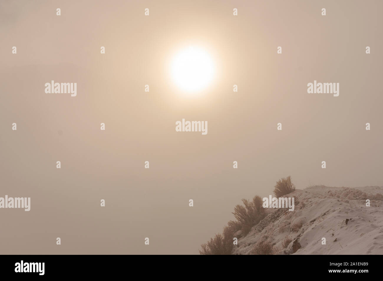 Scène de paysage de neige dans le brouillard avec le soleil brillant sur le dessus Banque D'Images