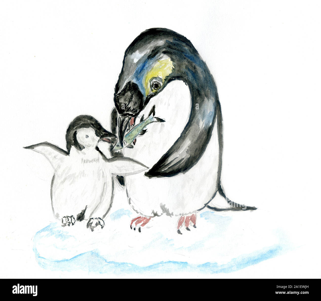 Pingouin Cute cartoon illustration aquarelle dessiné à la main Photo Stock  - Alamy