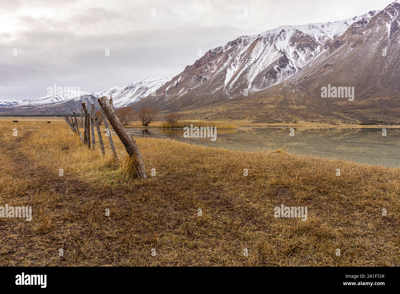 Vue sur la scène de l'image contre les montagnes couvertes de neige pendant la saison d'hiver en Patagonie, Argentine Banque D'Images
