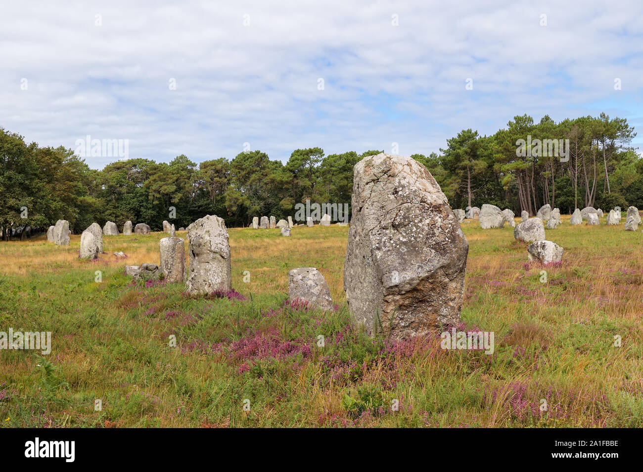 Menhirs des alignements de Kerlescan, rangées de pierres, le plus grand site mégalithique du monde, Carnac, Bretagne, France Banque D'Images