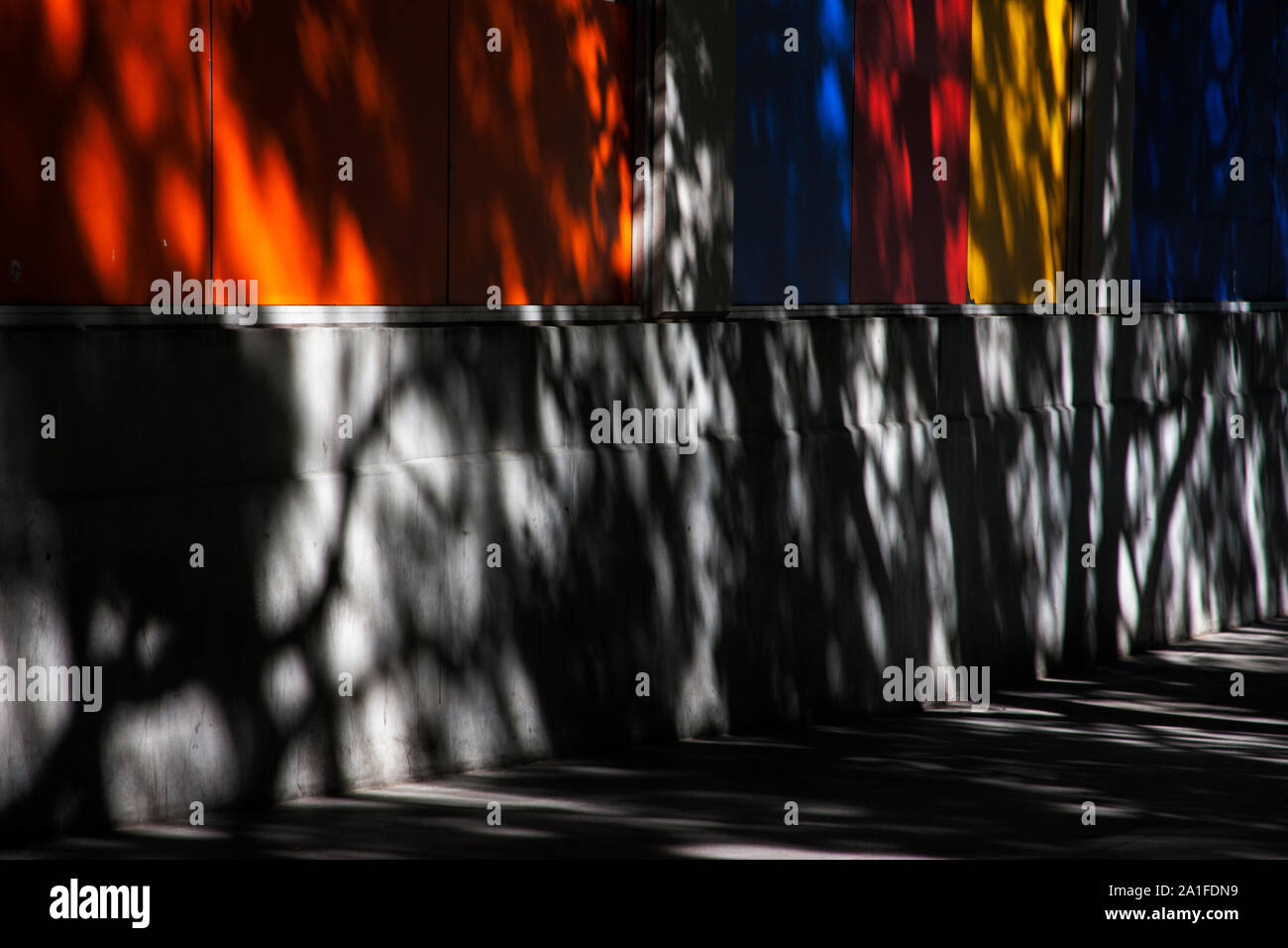 Image abstraite de l'ombre des branches d'arbre sur le mur rouge et bleu jaune Banque D'Images