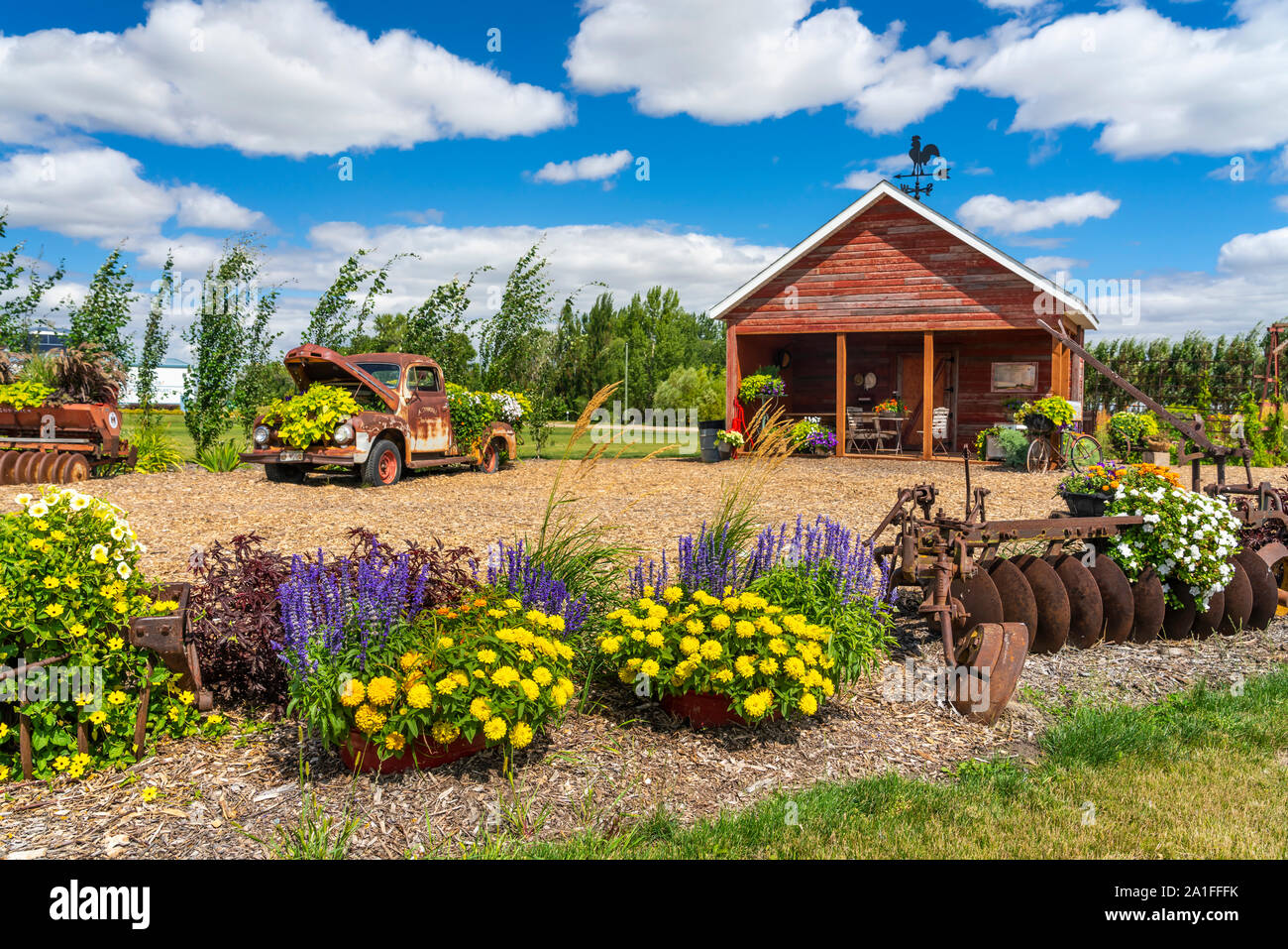 Des fleurs, des vieux instruments et les véhicules au Parkside Patch exhibt Pioneer près de Winkler, au Manitoba, Canada. Banque D'Images