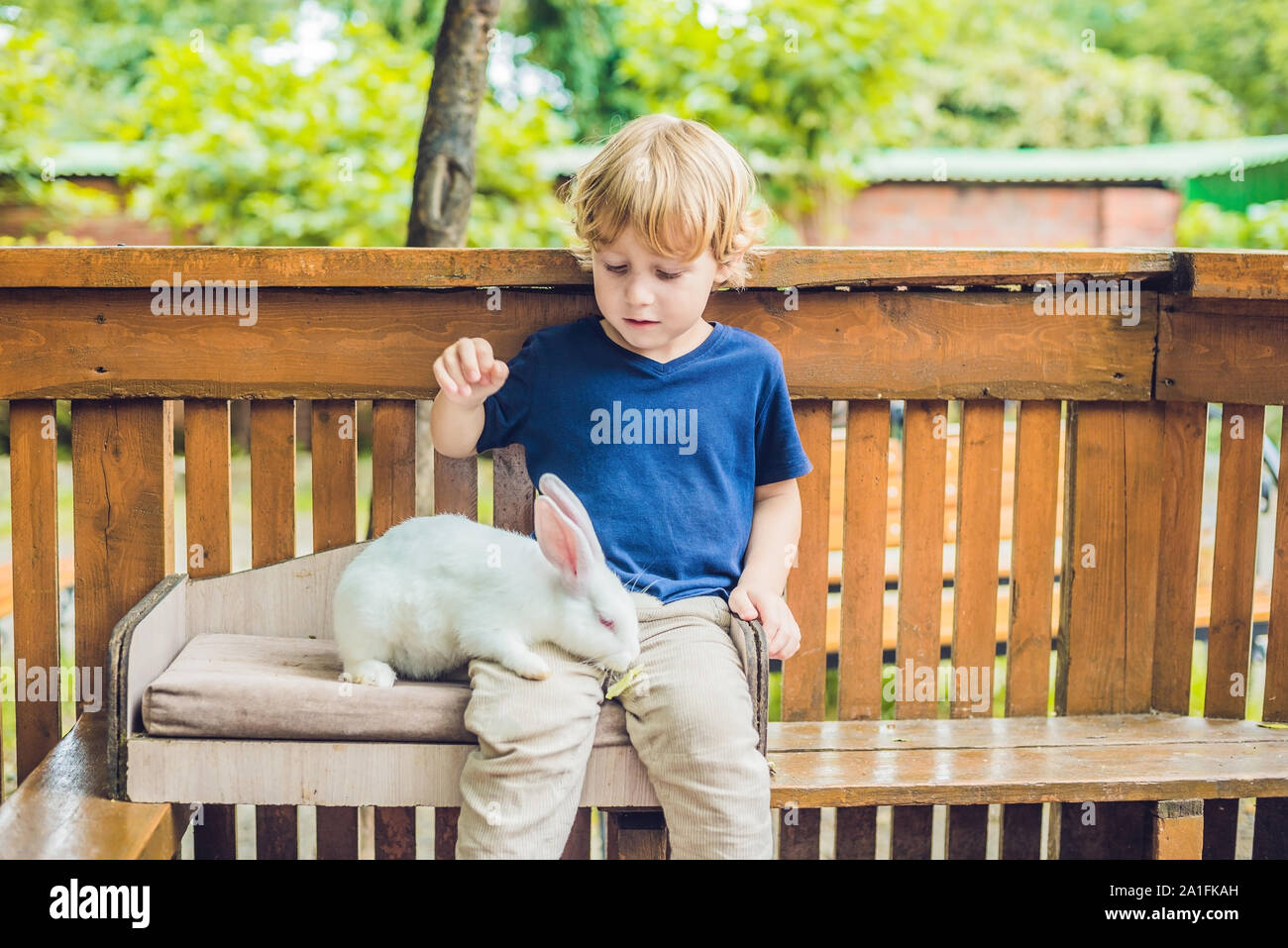 Bebe Garcon Caresses Et Jouer Avec Le Lapin Dans Le Zoo Pour Enfants Concept De Durabilite L Amour De La Nature Le Respect Pour Le Monde Et L Amour Pour Les Animaux Photo Stock