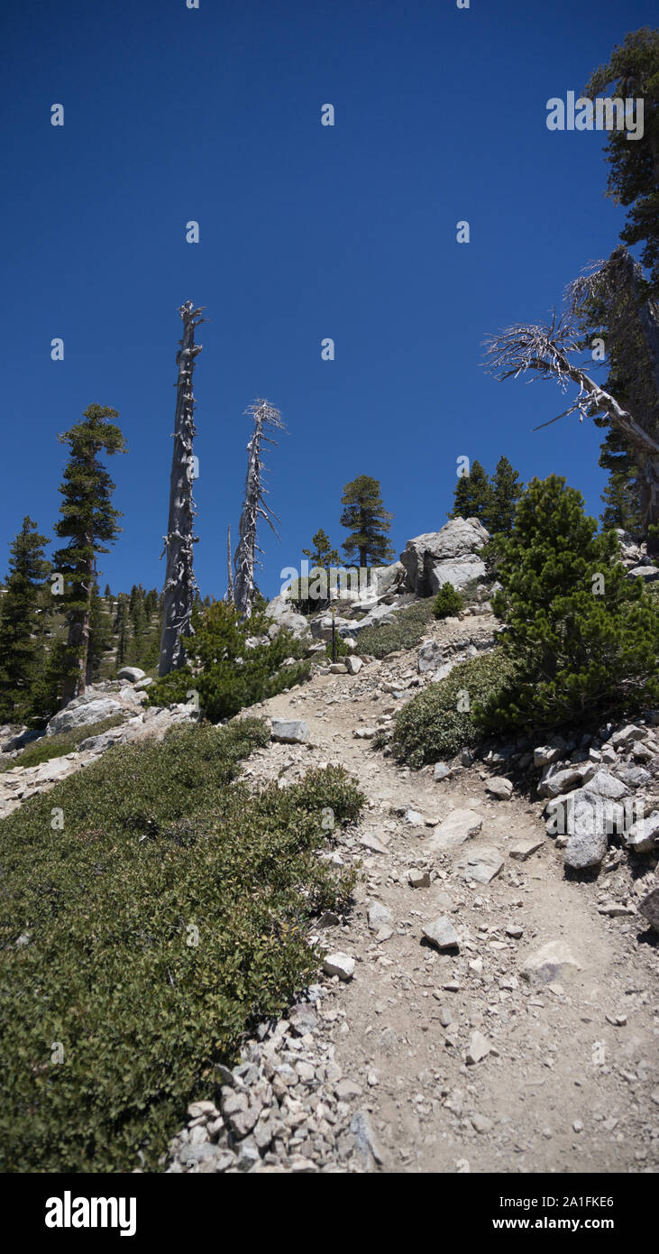 Le sentier Baldy bowl avec vues incroyables Banque D'Images