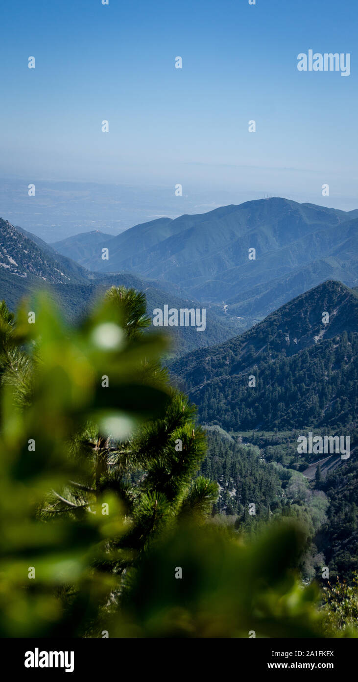 Couleurs étonnantes à Mount Baldy en Californie, USA Banque D'Images