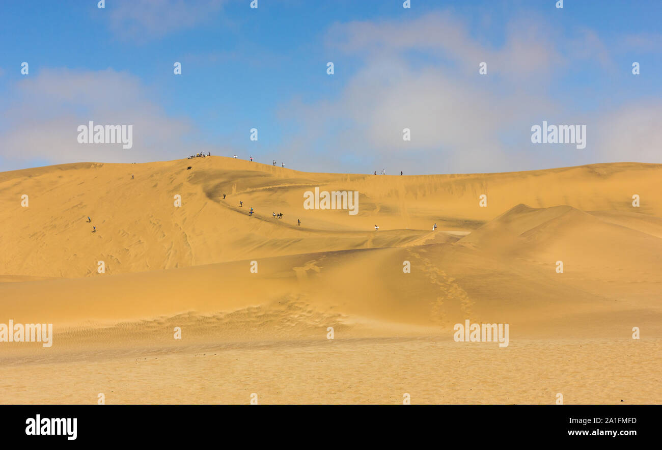 Les dunes de sable du désert à l'extérieur de Swakopmund, Namibie, l'Afrique et le sable pensionnaires ou personnes dans la distance sont des sables comme un sport ou activité de loisirs Banque D'Images