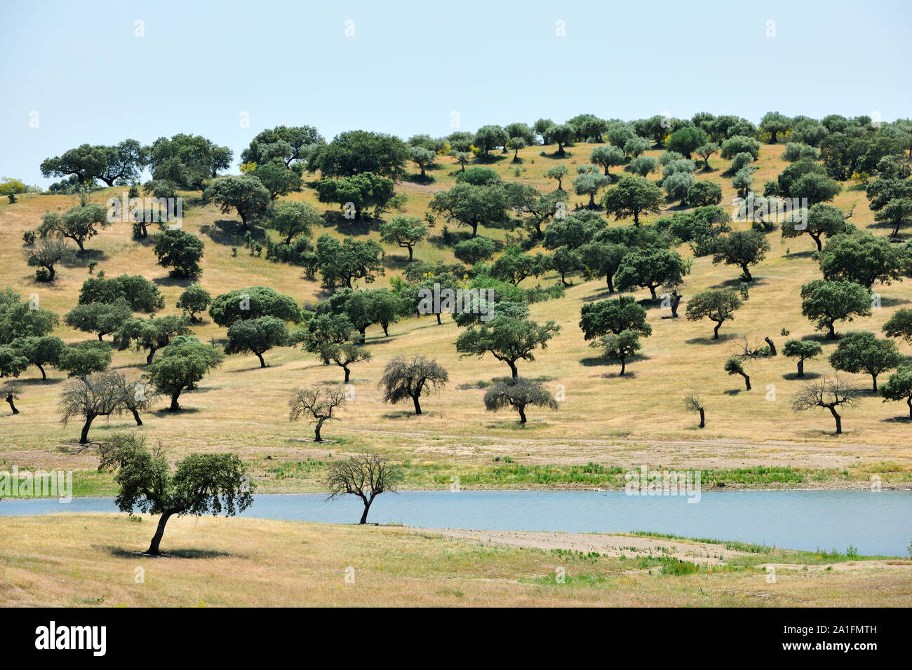 Barrage d'Alqueva. Fleuve Guadiana, l'Estrela. Alentejo, Portugal Banque D'Images