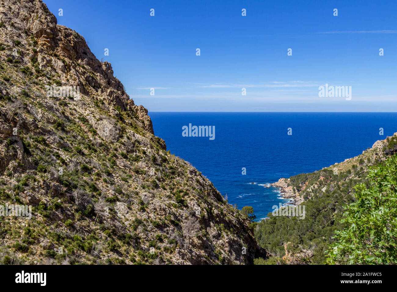 Vue panoramique en été à la côte nord de Majorque avec en premier plan, la montagne et l'eau bleu ciel bleu en arrière-plan Banque D'Images