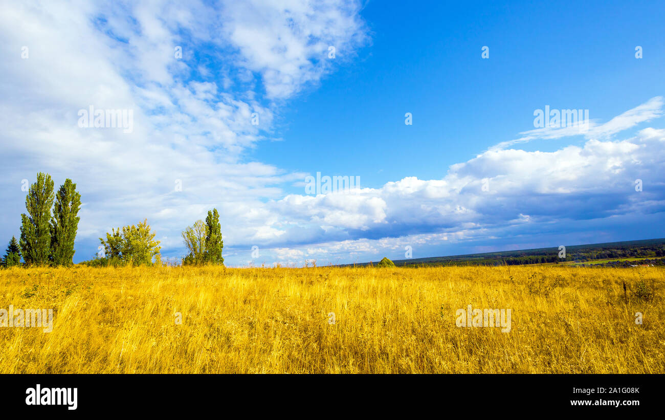 Automne nature paysage rural avec de l'herbe de la steppe et du ciel Banque D'Images