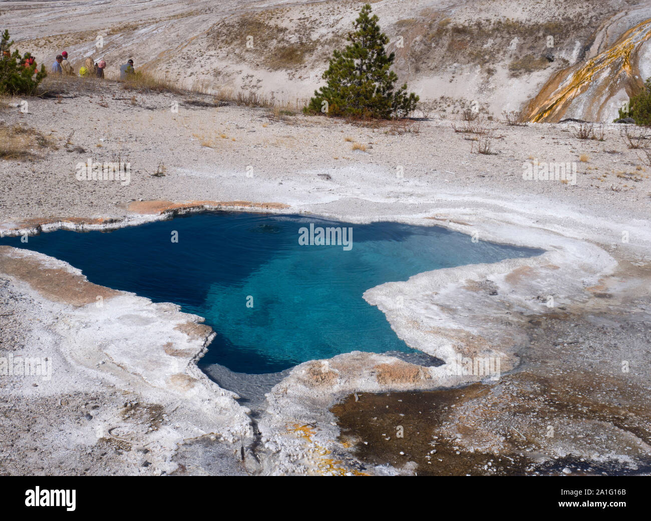 Blue Star Printemps et gisements minéraux, Upper Geyser Basin, Parc National de Yellowstone, Wyoming, USA Banque D'Images