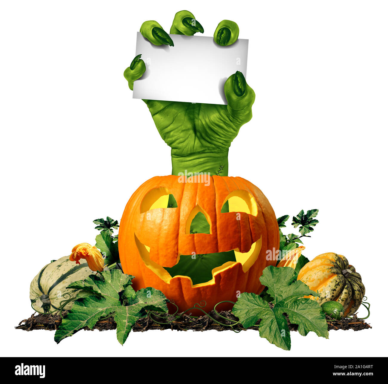 Zombie hand holding a blank sign card comme un symbole effrayant ou halloween creepy avec texture peau verte ridée monster doigts à partir d'une citrouille. Banque D'Images