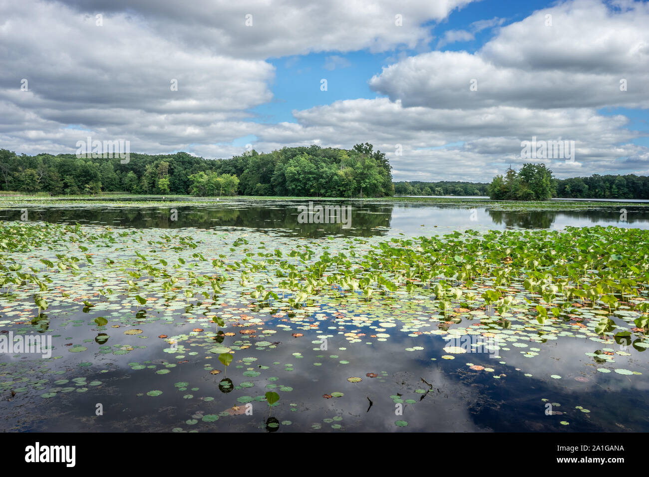 Paysage dans le Parc National de Kensington à Detroit (Michigan) Banque D'Images