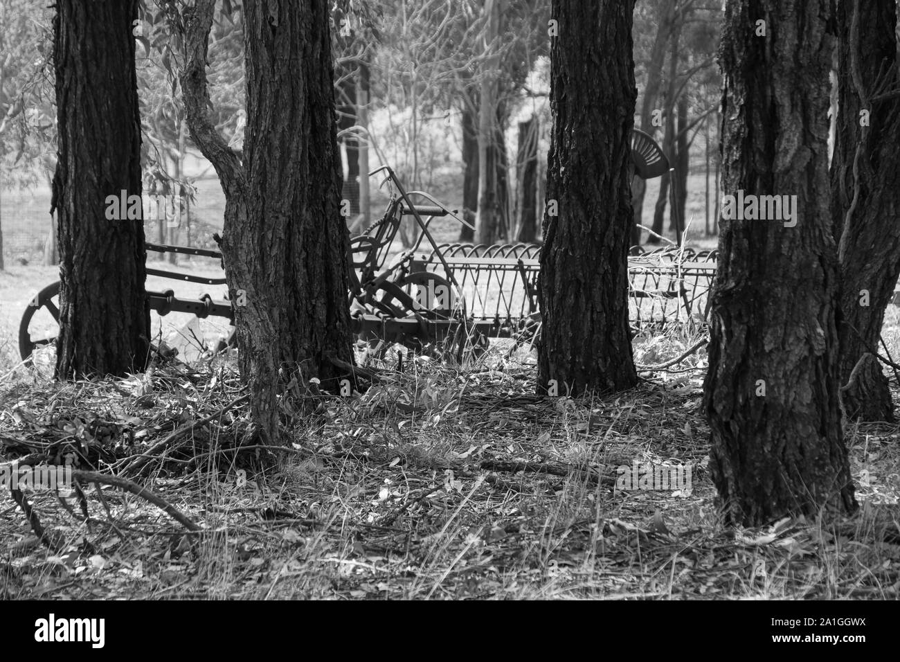 Matériel agricole ancien oublié un cultivateur en particulier Banque D'Images