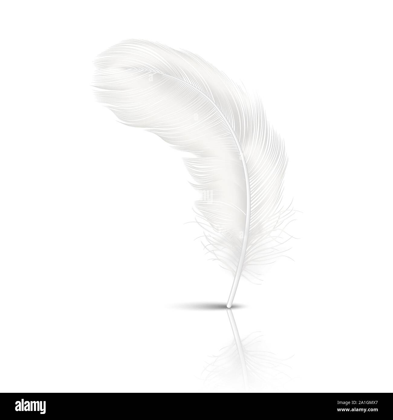3D réaliste vecteur Blanc moelleux en plumes chute fit tourner avec réflexion libre isolé sur fond blanc. Modèle de conception, de Clipart Ange ou Illustration de Vecteur
