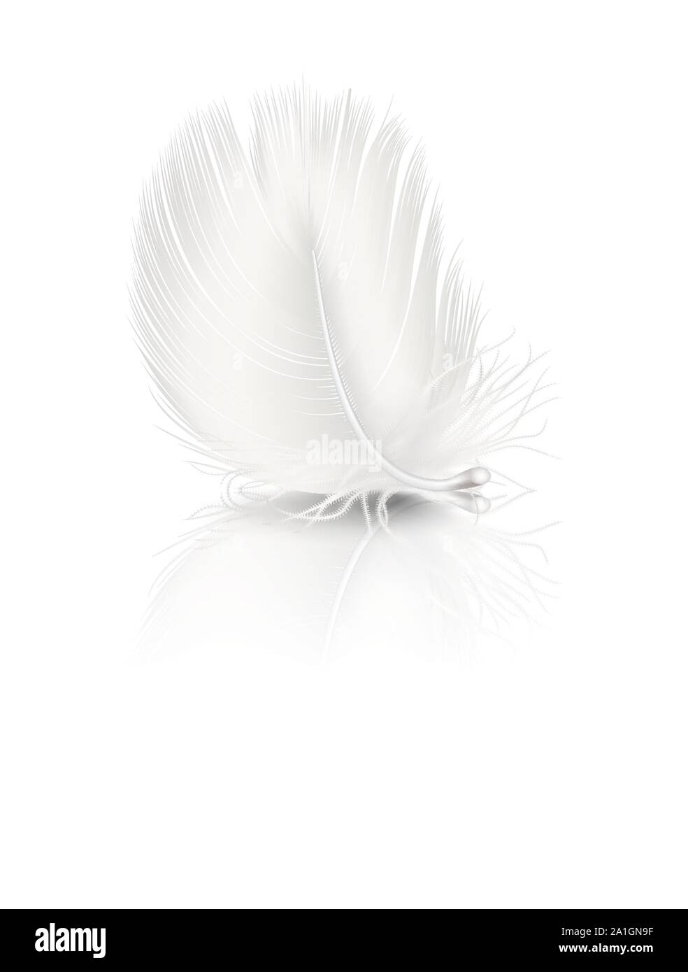 3D réaliste vecteur Blanc moelleux en plumes chute fit tourner avec réflexion libre isolé sur fond blanc. Modèle de conception, de Clipart Ange ou Illustration de Vecteur