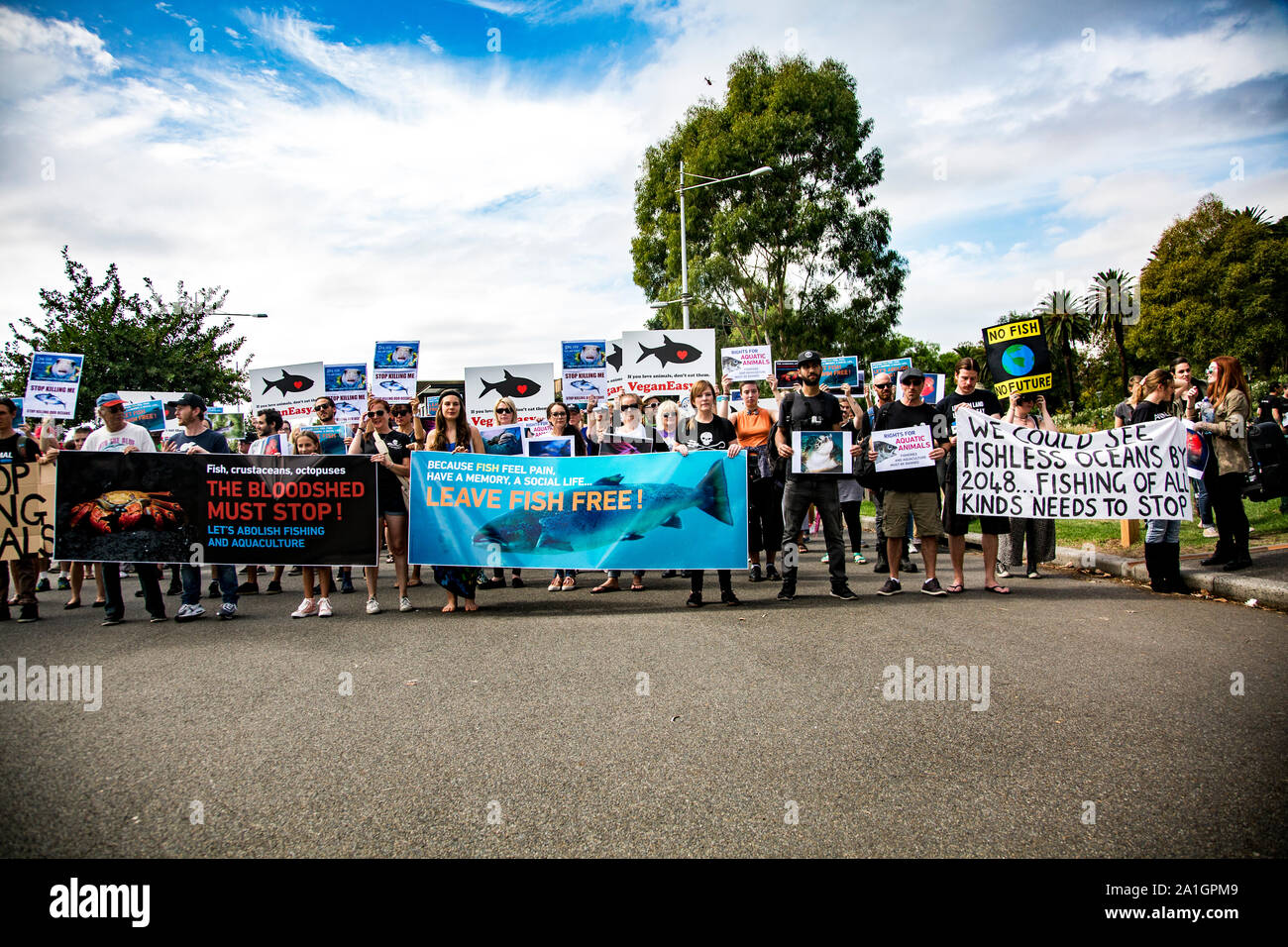 26 mars 2017 : mars pour les animaux aquatiques de protestation à Melbourne, Victoria, Australie Banque D'Images