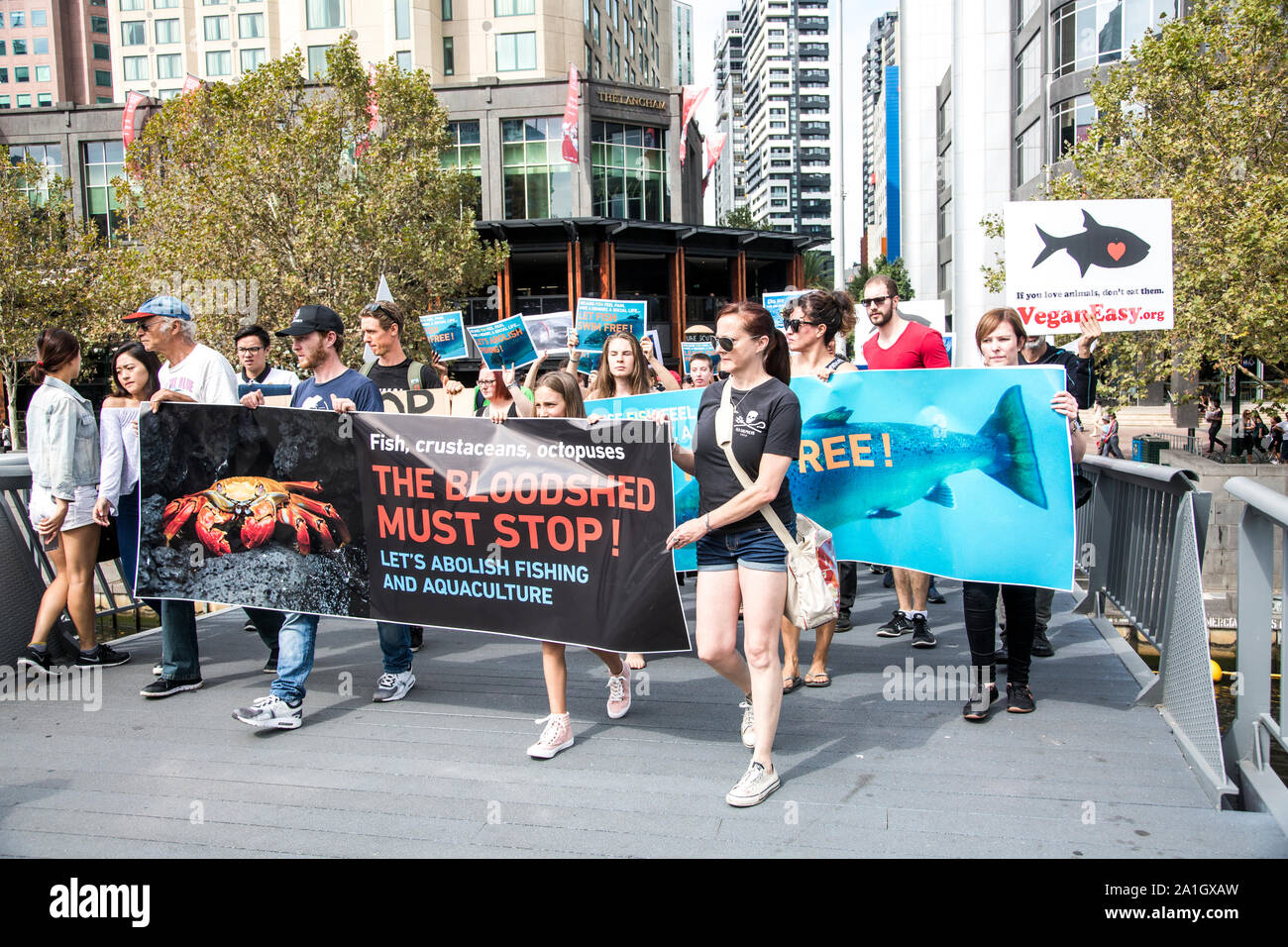 26 mars 2017 : mars pour les animaux aquatiques de protestation à Melbourne, Victoria, Australie Banque D'Images