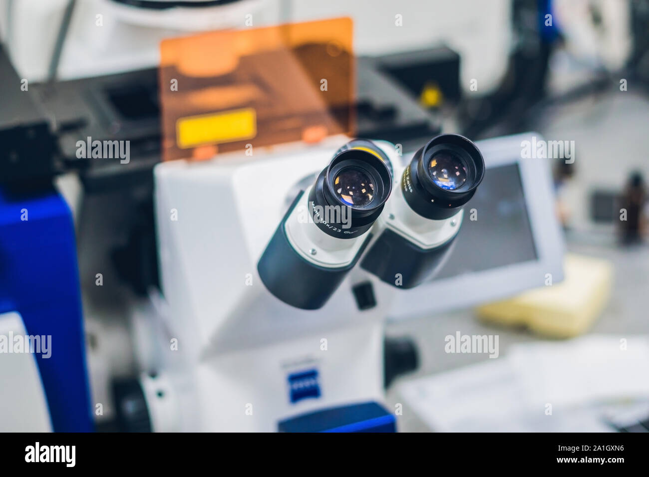 Microscope confocal en laboratoire d'échantillons biologiques de l'enquête. Banque D'Images