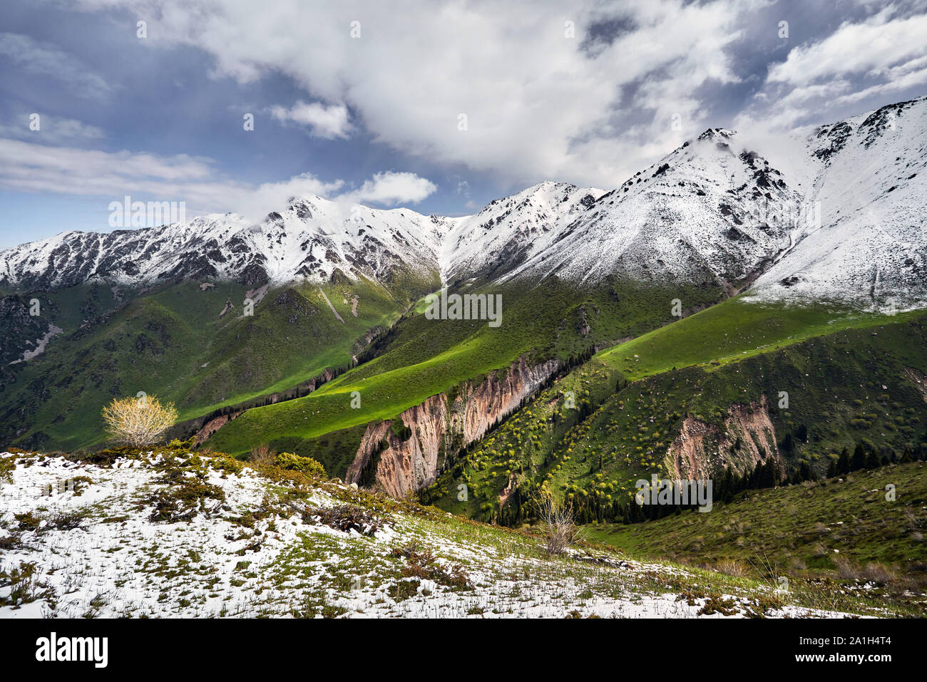 Sommet de montagne avec de la neige et de la forêt verte contre blue cloudy sky Banque D'Images