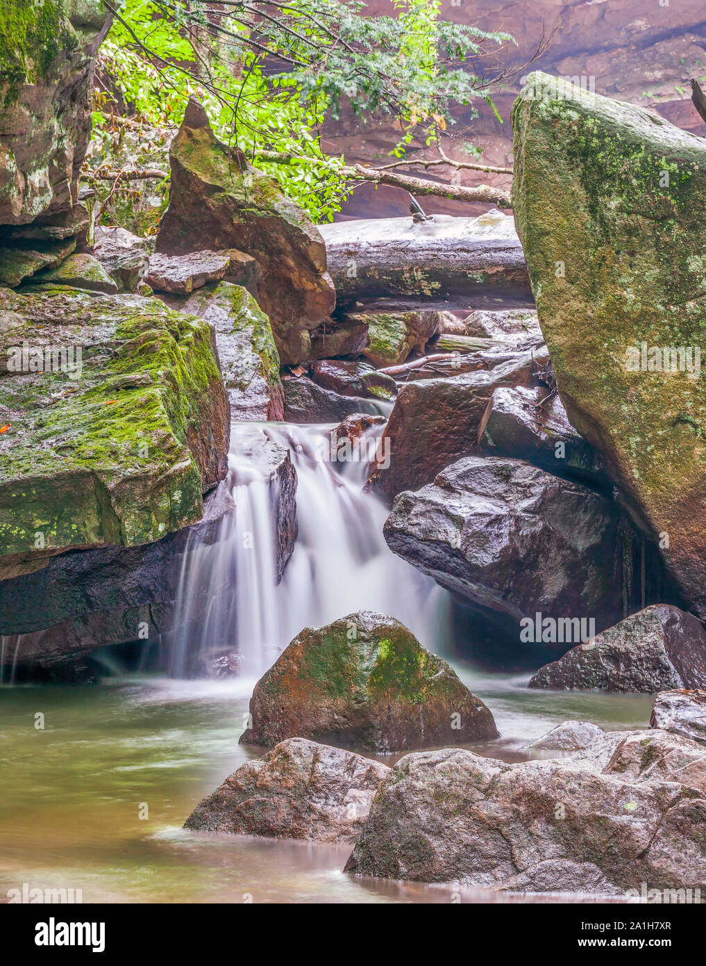 Partie de chutes de concombre. Ohiopyle State Park. La Pennsylvanie. USA Banque D'Images Partie de chutes de concombre. Ohiopyle State Park. La Pennsylvanie. USA Banque D'Images