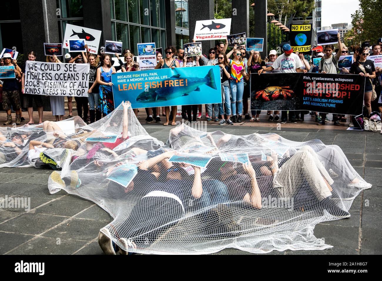 26 mars 2017 : mars pour les animaux aquatiques de protestation à Melbourne, Victoria, Australie Banque D'Images