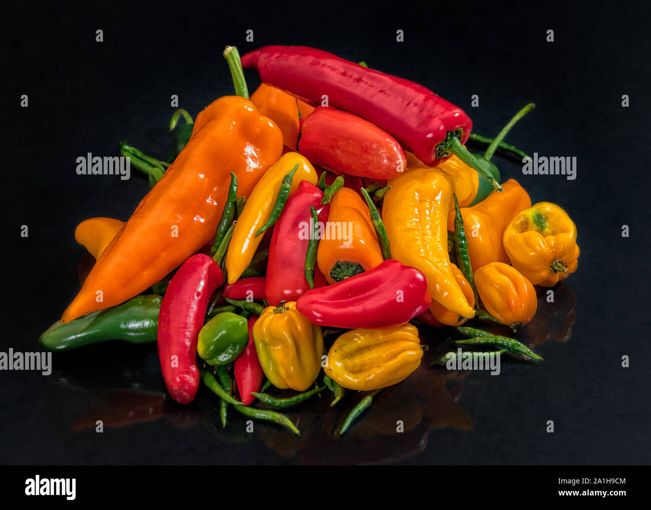 Image vie encore de différents types de piments Banque D'Images
