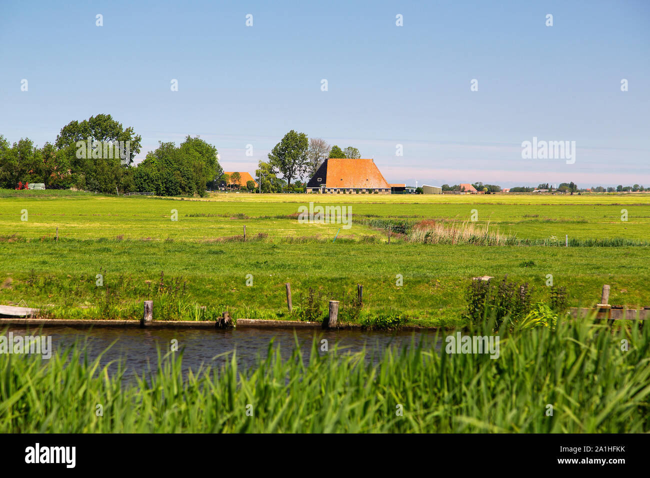 Paysage rural typique de la province néerlandaise de la Frise Banque D'Images