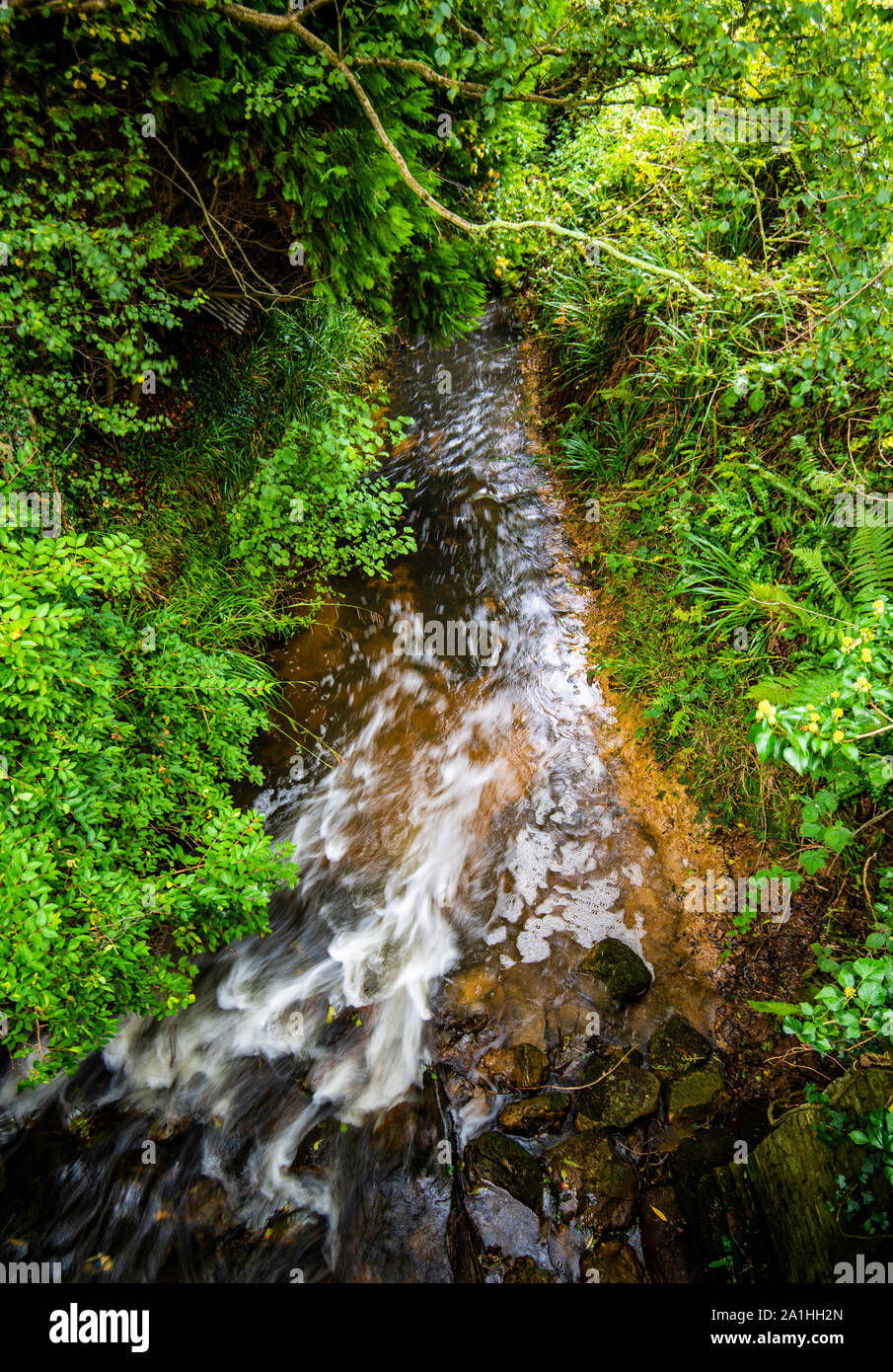 B-3461 Rivière, pont de Sedlescombe, East Sussex, Angleterre. Il a été utilisé par les Romains pour transporter le minerai de fer dans les péniches, plus tard, le charbon et la poudre ont été transmis Banque D'Images