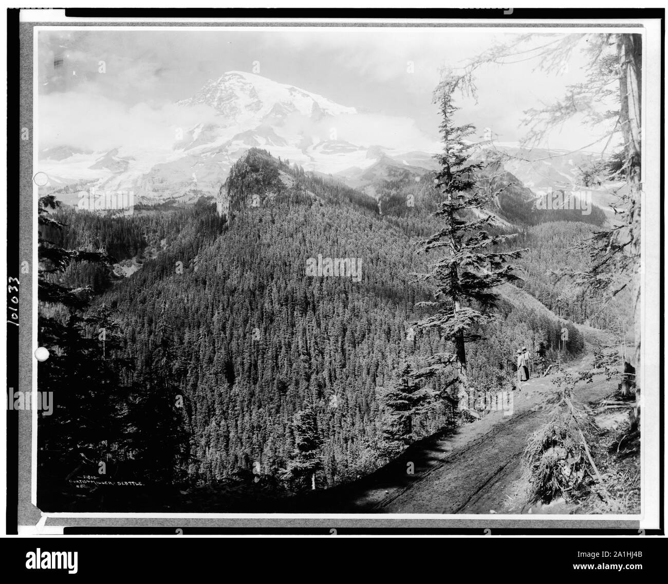 Mt. Rainier de Rickseekers Point avec l'homme et la femme debout à la recherche sur la forêt, Mt. Rainer National Park, Washington] / Curtis & Miller, Seattle Banque D'Images