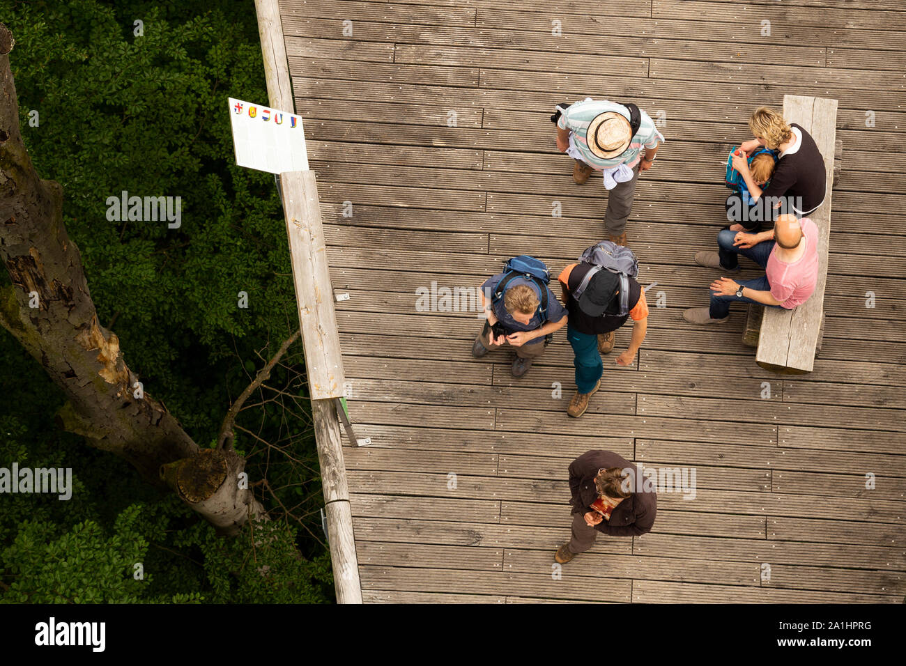 Vue aérienne de personnes marchant sur le sentier de la couronne des arbres dans le Parc National de Hainich Thuringe, Allemagne Banque D'Images