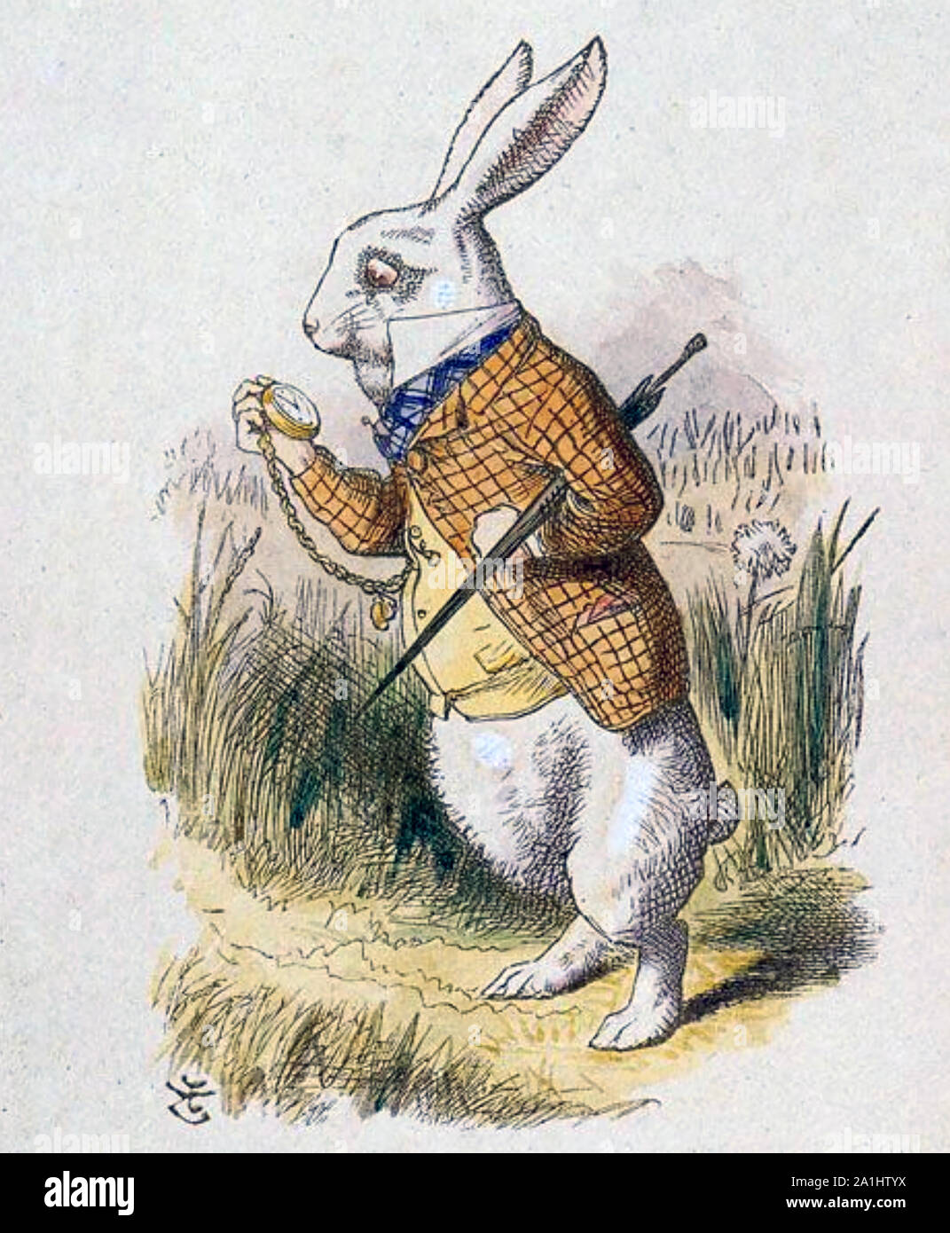 Lapin blanc d'Alice's Adventures de Wonderland dessiné par John Tenniel Banque D'Images