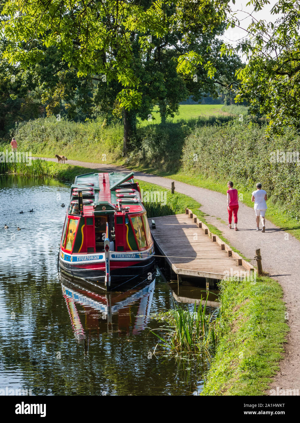 Tiverton Canal Company Chaland, Tivertonian, amarrés sur le Grand Canal à l'Ouest à l'Est, avec deux femelles Manley en marche sur le chemin de halage, Devon, UK. Banque D'Images