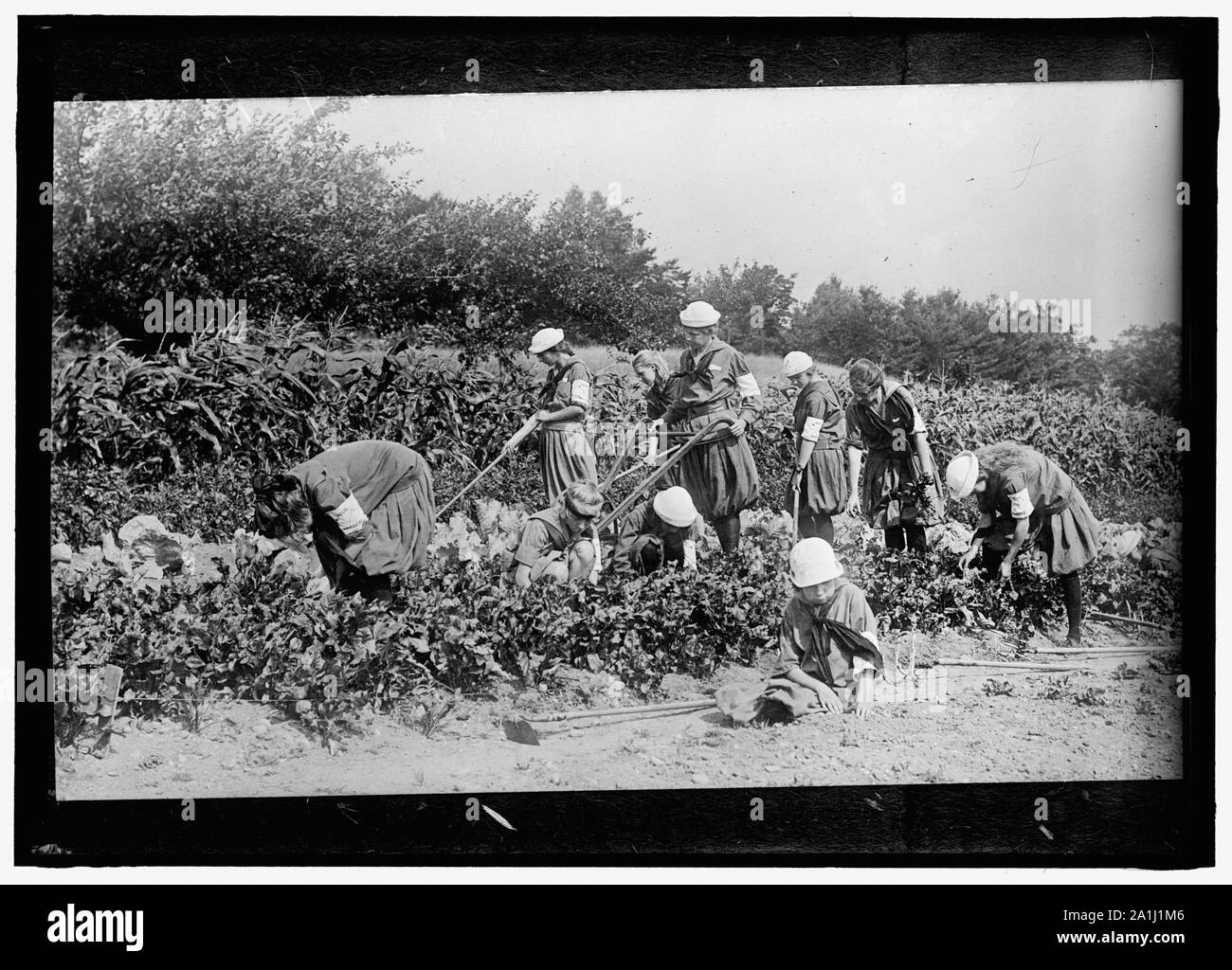 La guerre d'urgence NATIONAL GARDENS COM. Jardins de guerre Banque D'Images