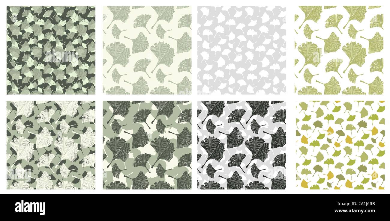 Les patrons japonais Collection avec le Gingko biloba feuilles des plantes. Jardin botanique de vecteur, les textures en bonne santé Pack pour la conception et d'impression textile Tissu, Album. Couleur ivoire pâle Sage et l'arrière-plan. Grande échelle Illustration de Vecteur