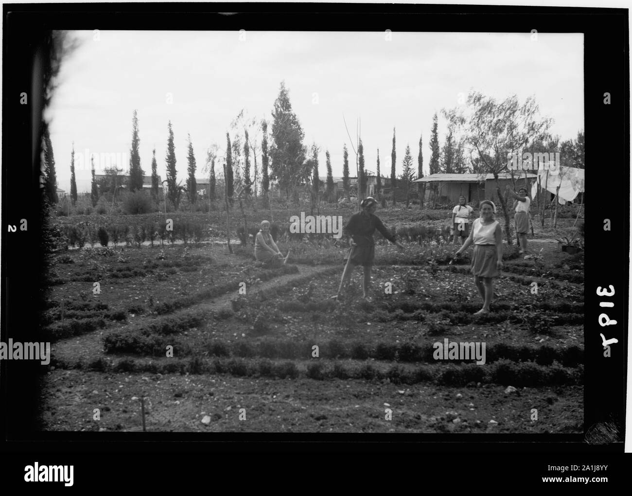 Nahalal. L'École de formation agricole des filles. Le jardin de fleurs Banque D'Images