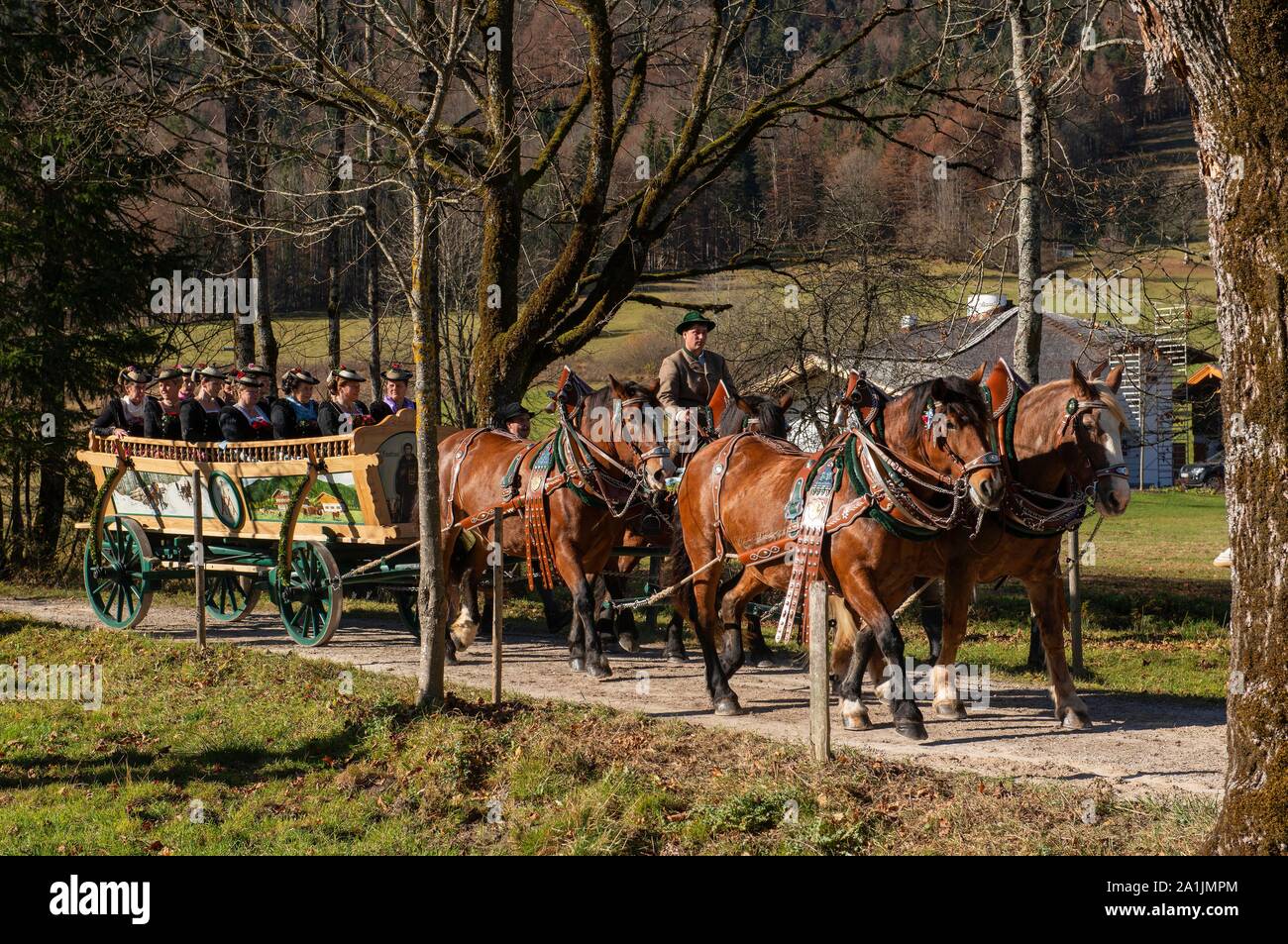 Transport à Leonhardi ride à Kreuth, Tegernseer Vallée, Haute-Bavière, Bavière, Allemagne Banque D'Images